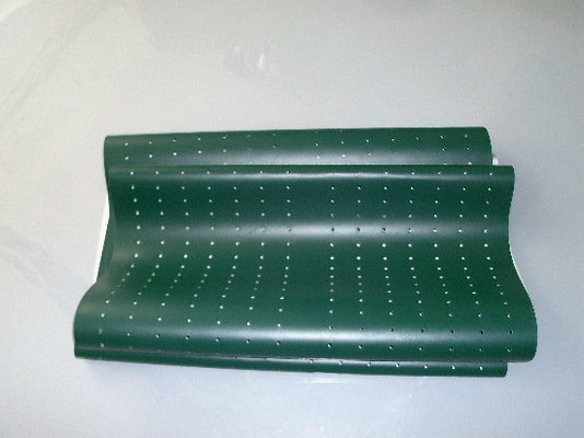 CHINA Cinto verde da peça de Poli Laserlab 3049 Digital Minilab fornecedor