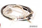 Peça do minilab de Noritsu # JOGO COMUM do VARREDOR Z019763-01 (1.5M) fornecedor