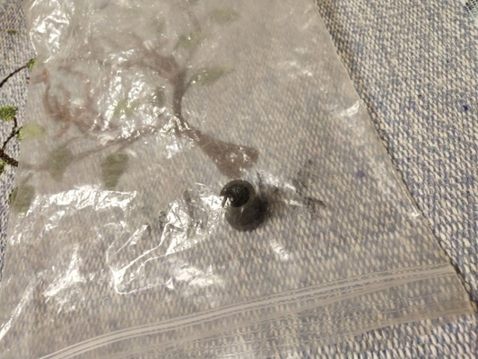 Eixo de apoio para a número da peça 322D1060207C 322D1060207 da fronteira 550 570 Minilab de Fuji fornecedor